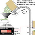 19_Fruit Weighing Application