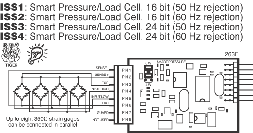 ISS3