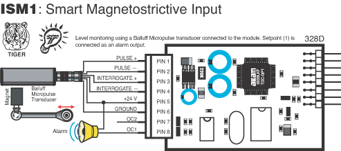 ISM1