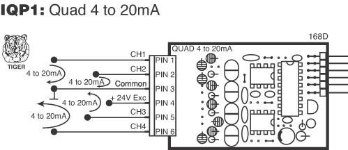 IQP1