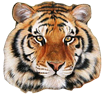 Tiger Family Products Page